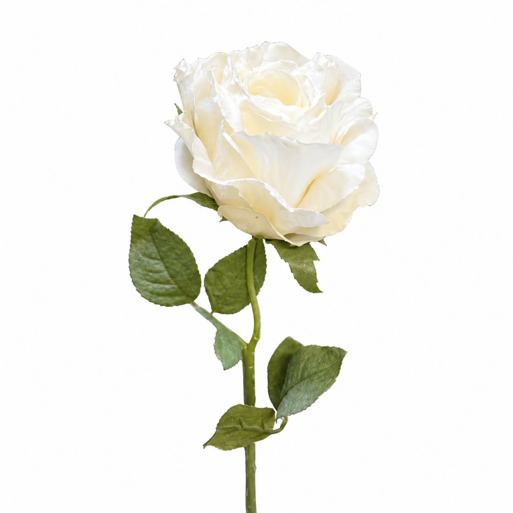 Simulation Dried Rose White