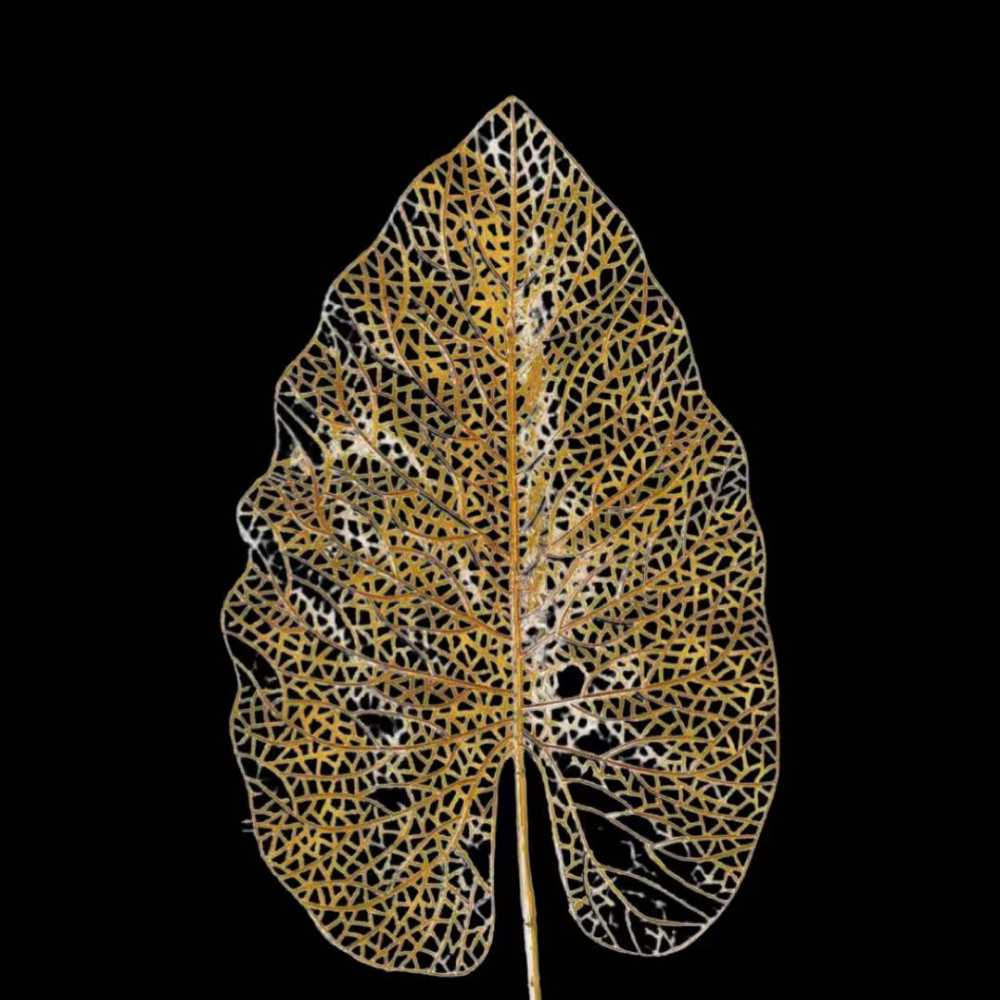 Artificial Reticuklated Leaf Gold