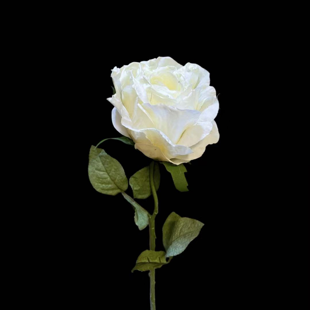 Simulation Dried Rose White