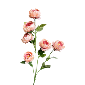 Artificial  Peony Brown
