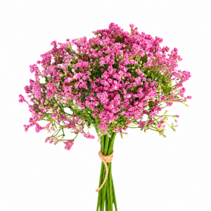 Artificial Baby\'s Breath Bunch  Hot Pink (12 pcs)