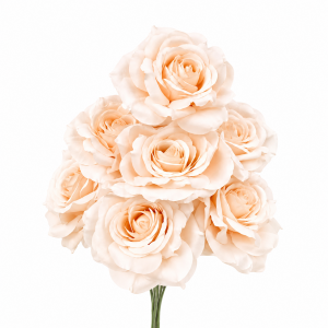 Artificial Rose Bunch Champange (7 heads)