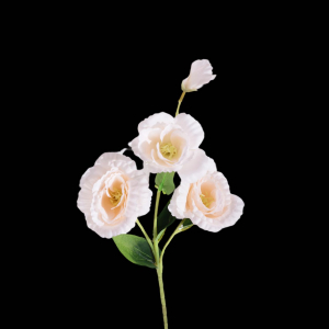 Artificial Eustoma Champange