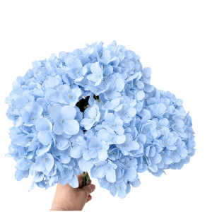 Artificial Big Hydrangea Bunch Baby Blue (5 heads)