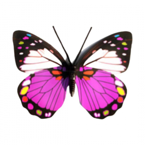 Giant 3D Butterflies 40cm (1 piece)
