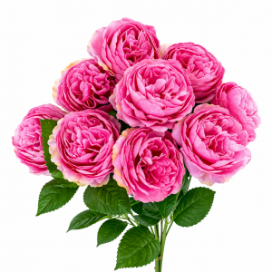 Artificial eony Bunch Hot Pink (9 heads)