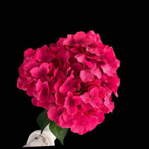 Artificial Flower Big Petal Hydrangea Hot Pink Bunch
