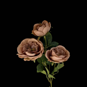 Artificial Austin Rose Brown