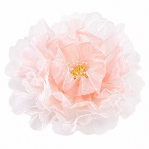 Giant Yarn Flower Head  Champange (75cm)