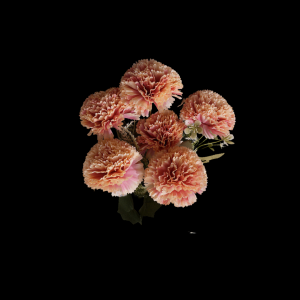 Artificial Flower Carnation Bunch Brown (7 PCS)