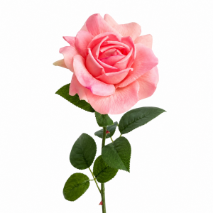 Hyper Realism Rose Bright Pink