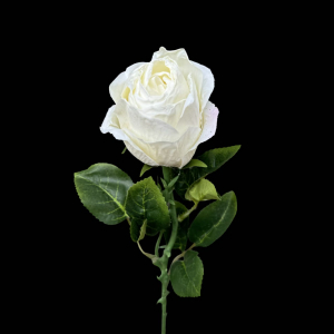 Artificial Flower Dry Rose White