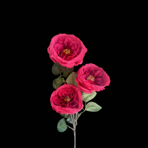 Artificial Austin Rose Hot Pink