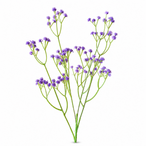 Artificial Baby\'s Breath Purple