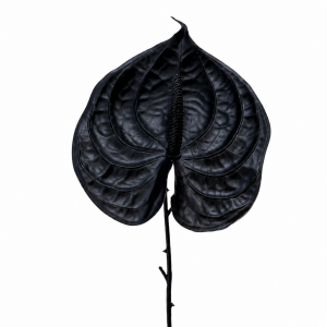 Artificial Anthurium Black