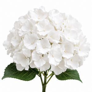 Artificial Big Petal Hydrangea Bunch White (5 heads)