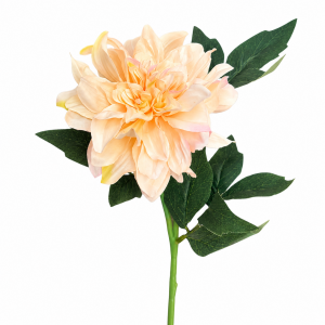 Artificial Dahlia Champange