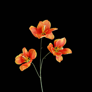 Artificial Tulip Orange