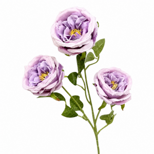 Artificial Austin Rose Purple