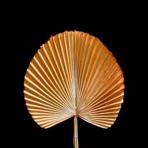 Artificial Plum Leaf Orange