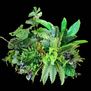 Artificial  Plant Arrangemanet (70cm)