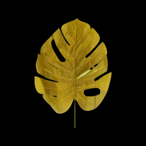Artificial Turtle Leaf Gold