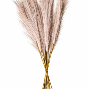 Vintage Artificial Flower Reed （10pcs)