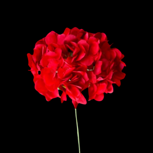 Artificial Flower Hydrangea Red