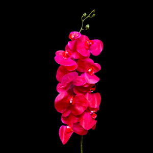 Artificial Flower Phalaenopsis Hot Pink
