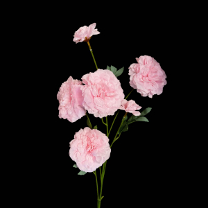 Artificial Flower Peony Pink