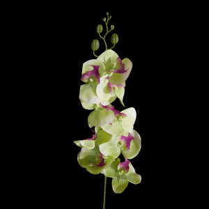 Artificial Phalaenopsis Green