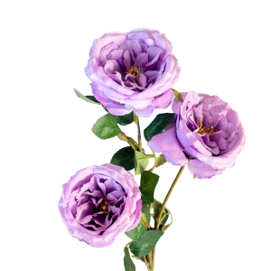 Artificial Austin Rose Purple