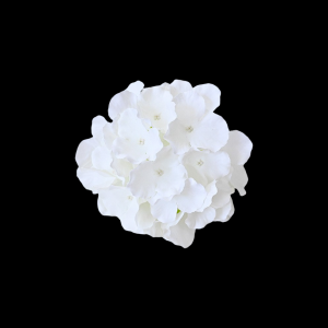 Artificial Hydrangea Head White (1 Piece)