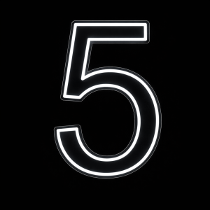 Neon Sign Number 5 (50cm Tall White)