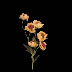 Artificial Small Peony Brown