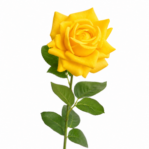 Hyper Realism Rose Bright Yellow
