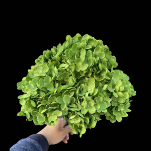 Artificial Flower Big Hydrangea Green Bunch
