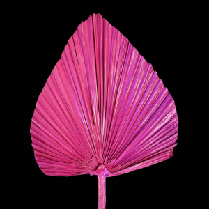 Dired Palm Leaf Hot Pink