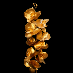 Artificial Phalaenopsis