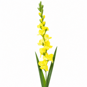 Artificial Gladiolus Yellow