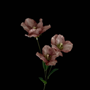 Artificial Tulip Brown