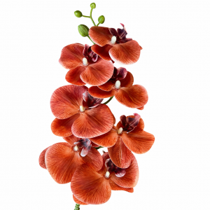 Artificial  Phalaenopsis Brown