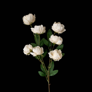 Artificial Small Peony Champange