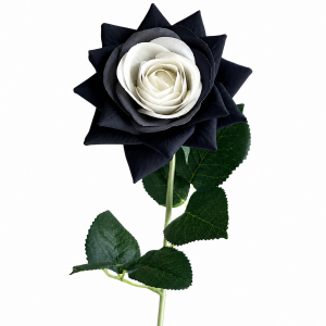 Hyper Realism Rose Black