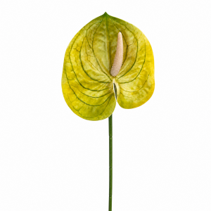 Artificial Anthurium Yellow