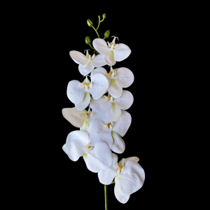 Artificial Flower Phalaenopsis White
