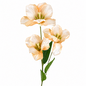 Artificial Tulip  Champagne