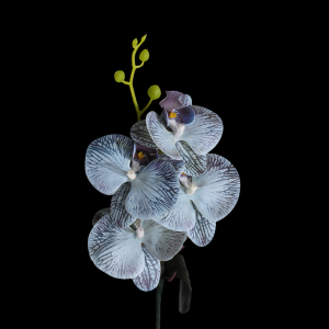 Artificial Phalaenopsis Blue