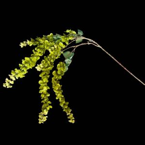Artificial Wisteria Green
