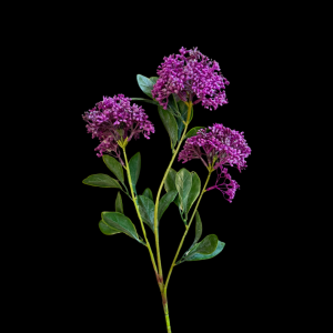 Artificial Flower Hydrangea Purple